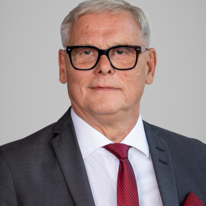 Matthias Pludra, Sprecher des Vorstandes