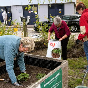 Arbeiten im Hochbeet am Stern