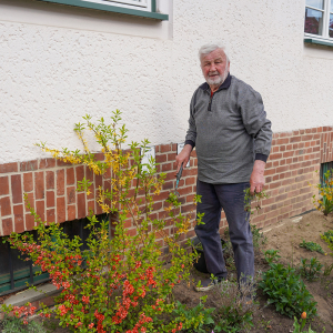 Beschneiden der Sträucher und Büsche
