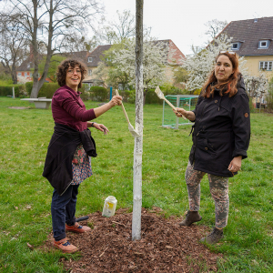 Frischer Anstrich der Bäume